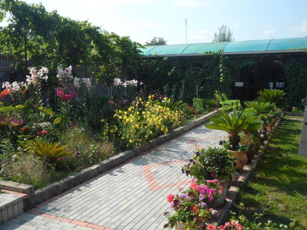 Galina Guest House Alakhadzi Екстер'єр фото